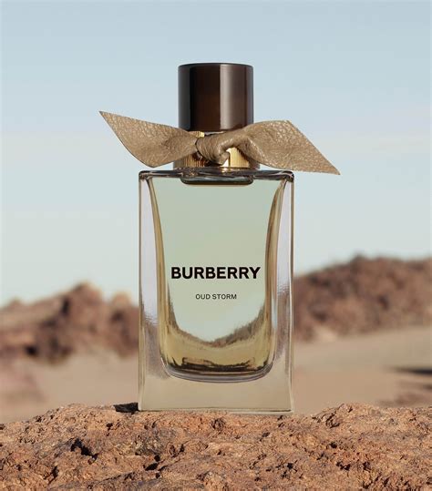 burberry storm odour